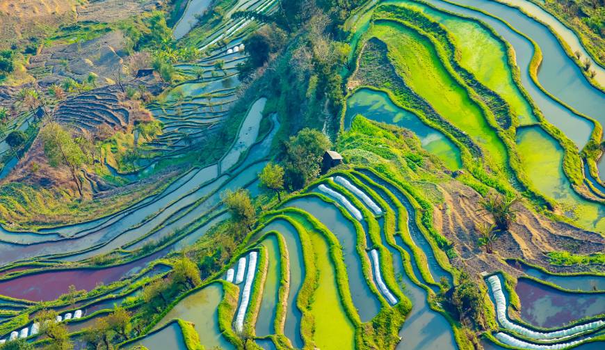贡山产品视频拍摄